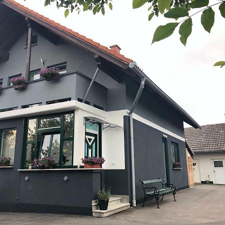 Apartman I Soba Hadela Sveti Martin Na Muri Exterior foto