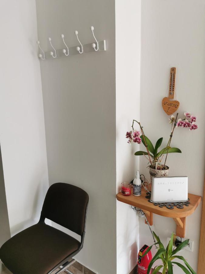 Apartman I Soba Hadela Sveti Martin Na Muri Exterior foto