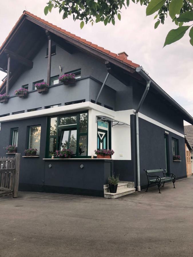 Apartman I Soba Hadela Sveti Martin Na Muri Exterior foto